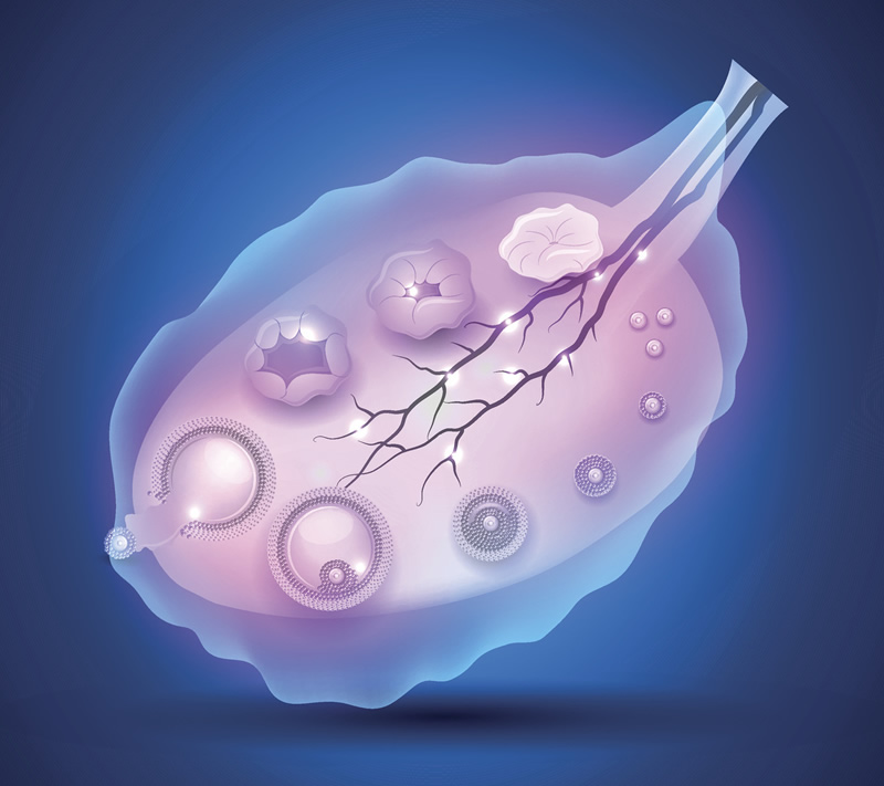 太原试管婴儿医院排名前十：山大一院、山西省生殖中心等机构详解，附太原试管费用及医生推荐指南
